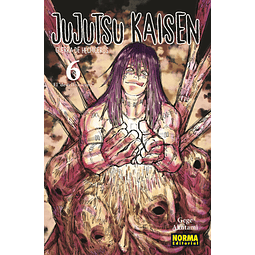 JUJUTSU KAISEN #06
