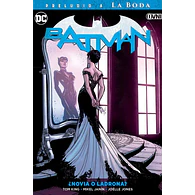DC - ESPECIALES - Batman Vol. 06: Novia o Ladrona