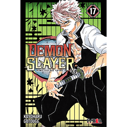 Demon Slayer - Kimetsu No Yaiba #17