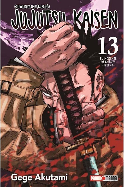 Jujutsu Kaisen #13