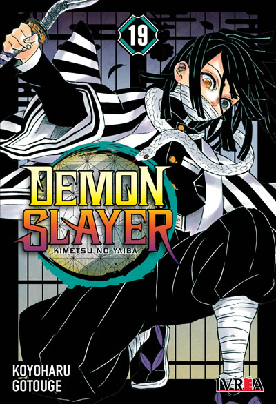 Demon Slayer - Kimetsu No Yaiba #19