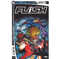 ESTADO FUTURO: FLASH