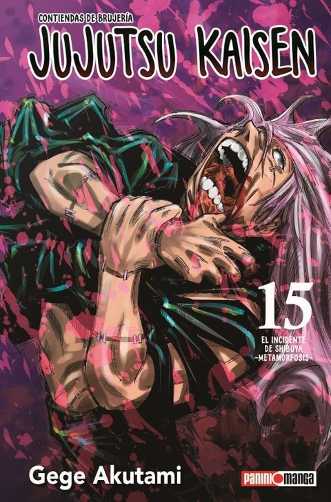 Jujutsu Kaisen #15