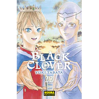 BLACK CLOVER #22