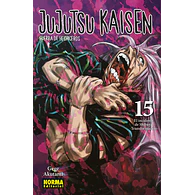 JUJUTSU KAISEN #15