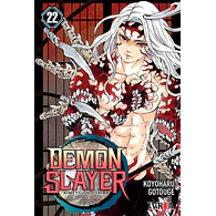Demon Slayer - Kimetsu No Yaiba #22