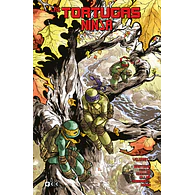 Las Tortugas Ninja vol.07