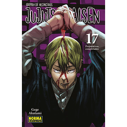 JUJUTSU KAISEN #17