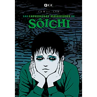LAS CAPRICHOSAS MALDICIONES DE SÔICHI (EDICIÓN FLEXIBOOK)