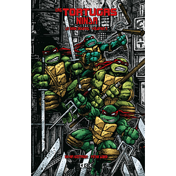 Las Tortugas Ninja: La serie original #5 (de 7)