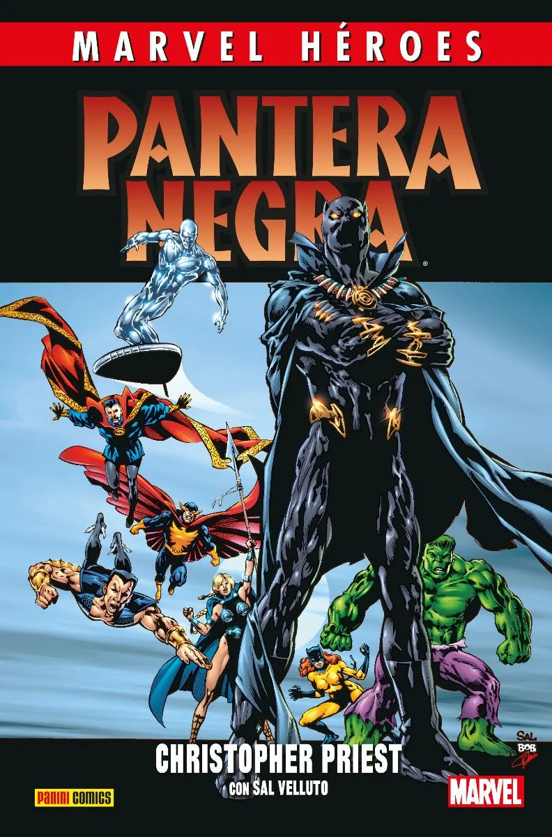 Marvel Héroes. Pantera Negra de Christopher Priest #2