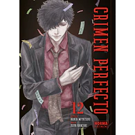 CRIMEN PERFECTO 12