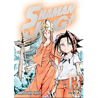 Shaman King #13