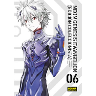 NEON GENESIS EVANGELION. EDICIÓN COLECCIONISTA #6
