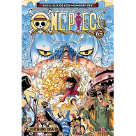 ONE PIECE #65