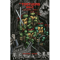 Las Tortugas Ninja: La serie original #3 (de 7)
