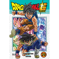 Dragon Ball Super #20