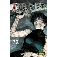 JUJUTSU KAISEN #22