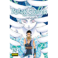 BLACK CLOVER #30 