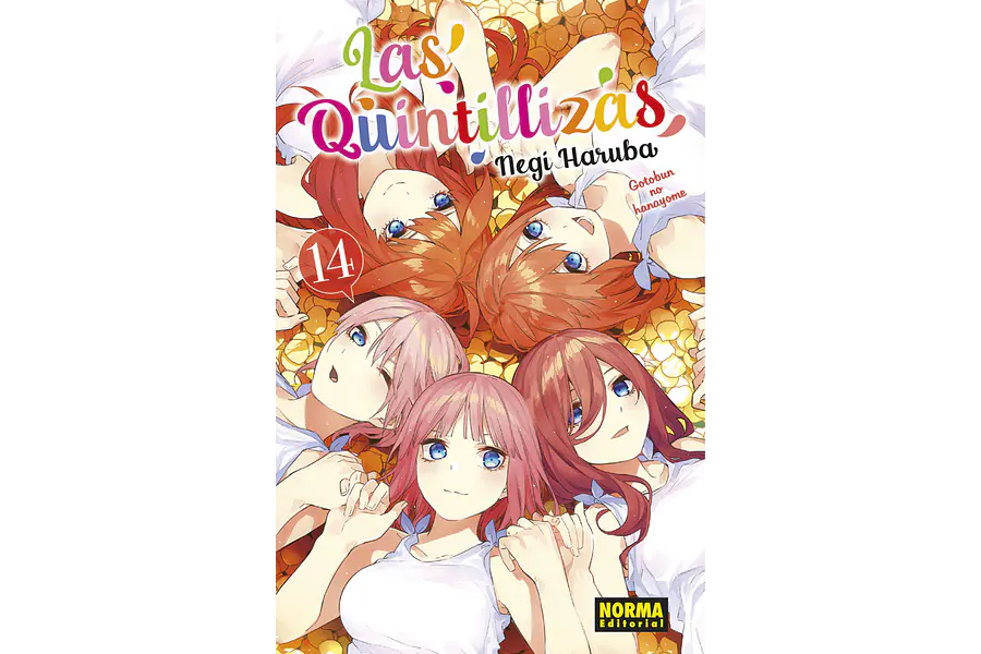 LAS QUINTILLIZAS 14