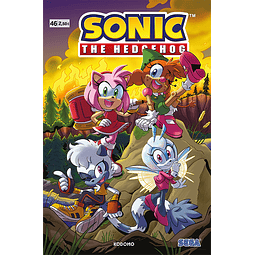 Sonic The Hedgehog #46
