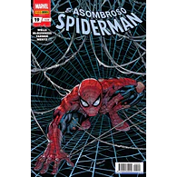 El Asombroso Spiderman #19/228
