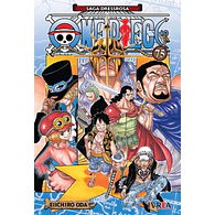 ONE PIECE #75