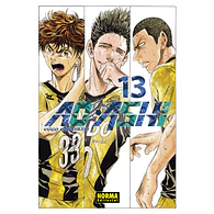 AO ASHI #13