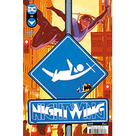 Nightwing #19