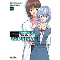 PROYECTO DE CRIANZA DE SHINJI IKARI NEW EDITION #09 (de 18)