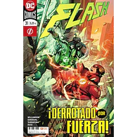 Flash #45/31