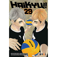 HAIKYU!! #29