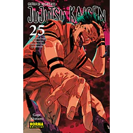 JUJUTSU KAISEN #25