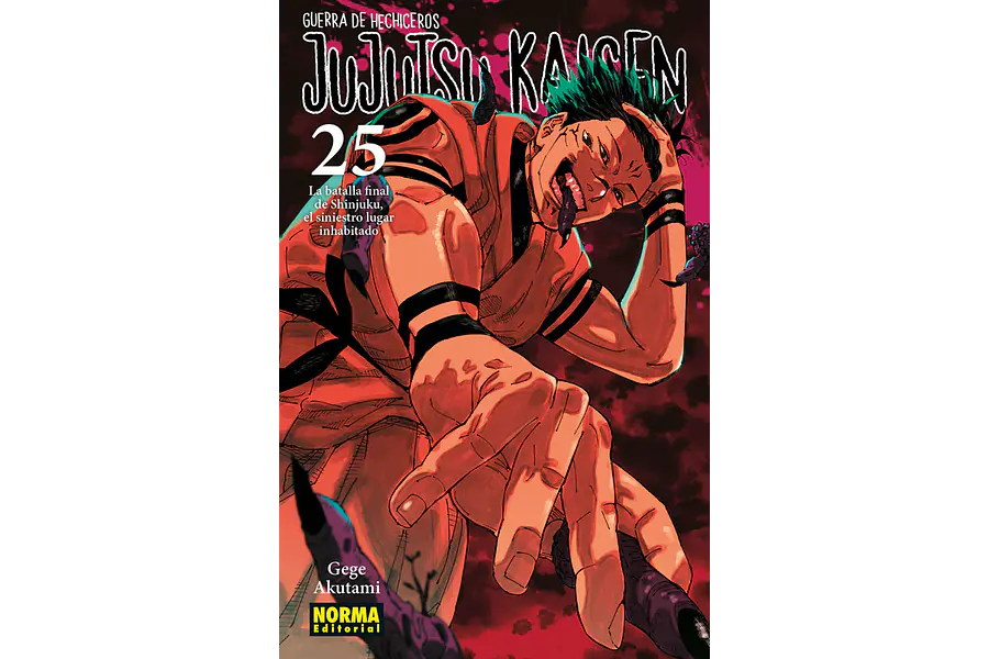 JUJUTSU KAISEN #25