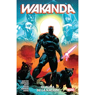 Wakanda: El alma de la nación