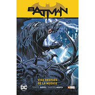 Batman vol. 10: Vida después de la muerte (Batman Saga - Renacido Parte 4)