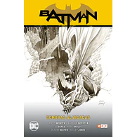 Batman vol. 09: Sombras alargadas (Batman Saga - Renacido Parte 3)