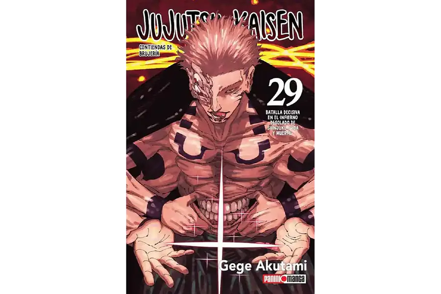 Jujutsu Kaisen #29