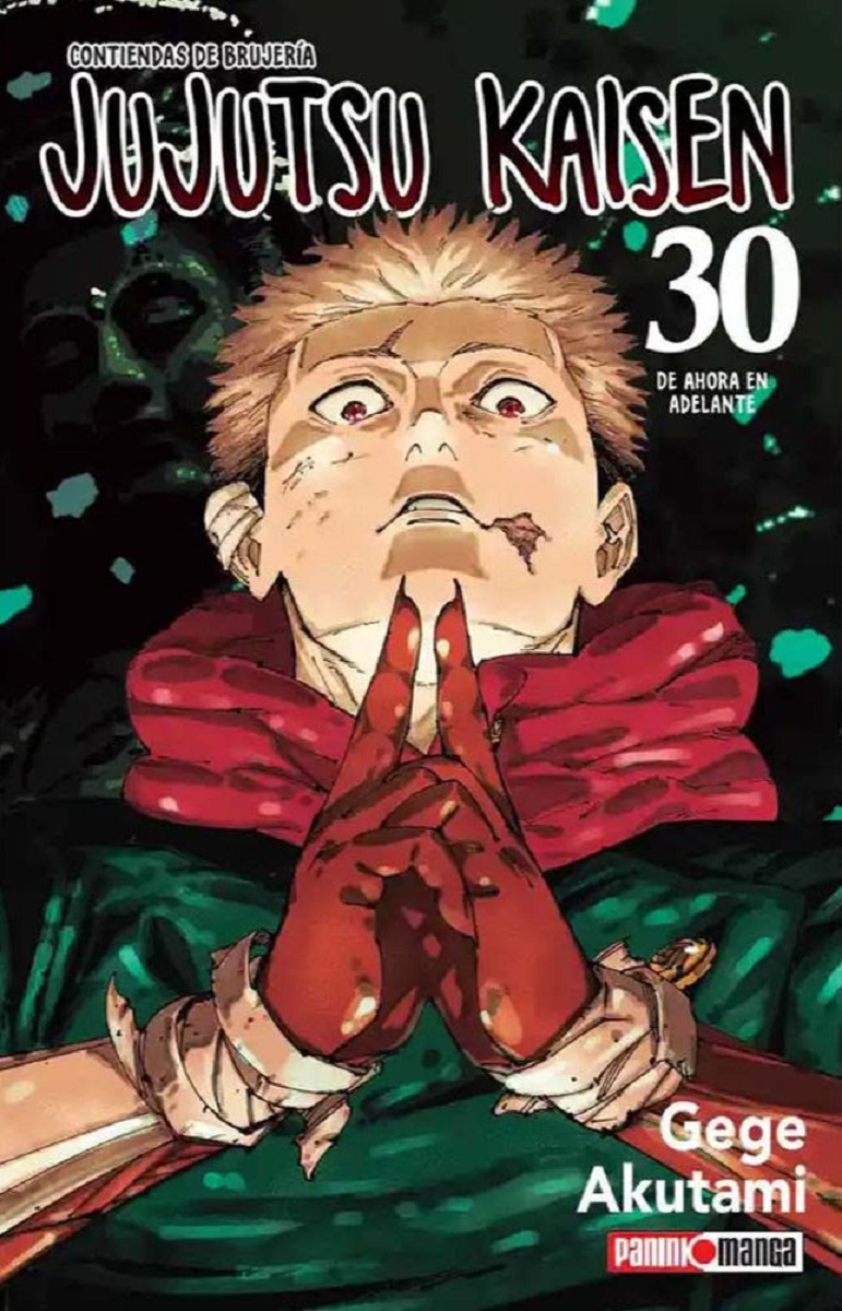 Jujutsu Kaisen #30