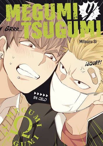 MEGUMI Y TSUGUMI #01 al 04 (+18)