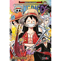 ONE PIECE #100