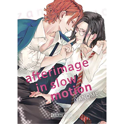 Afterimage in Slow Motion