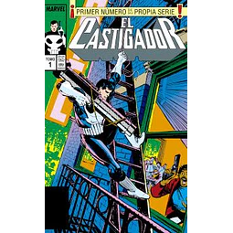 EL CASTIGADOR #01 (Marvel Limited Edition)