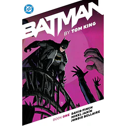 Batman by Tom King Book One TP USA