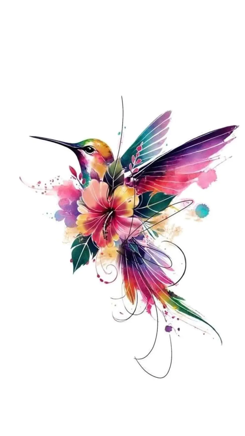 COLIBRI 1