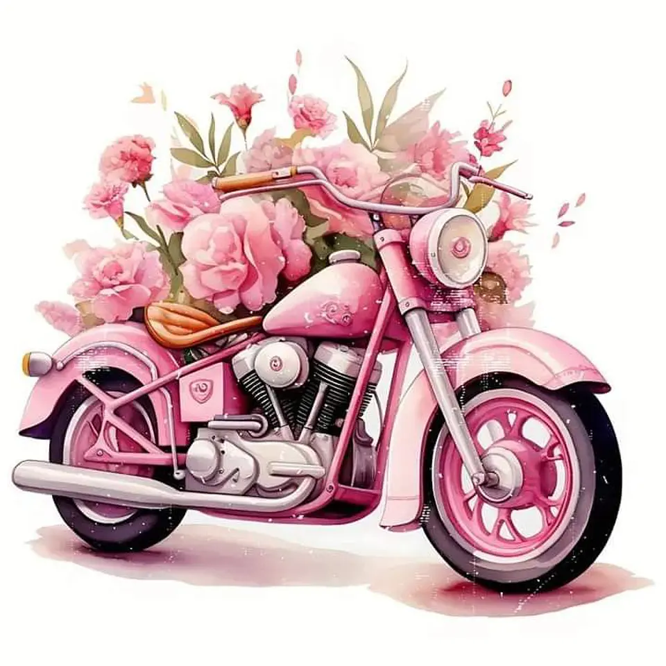 MOTOCICLETA ROSA 1