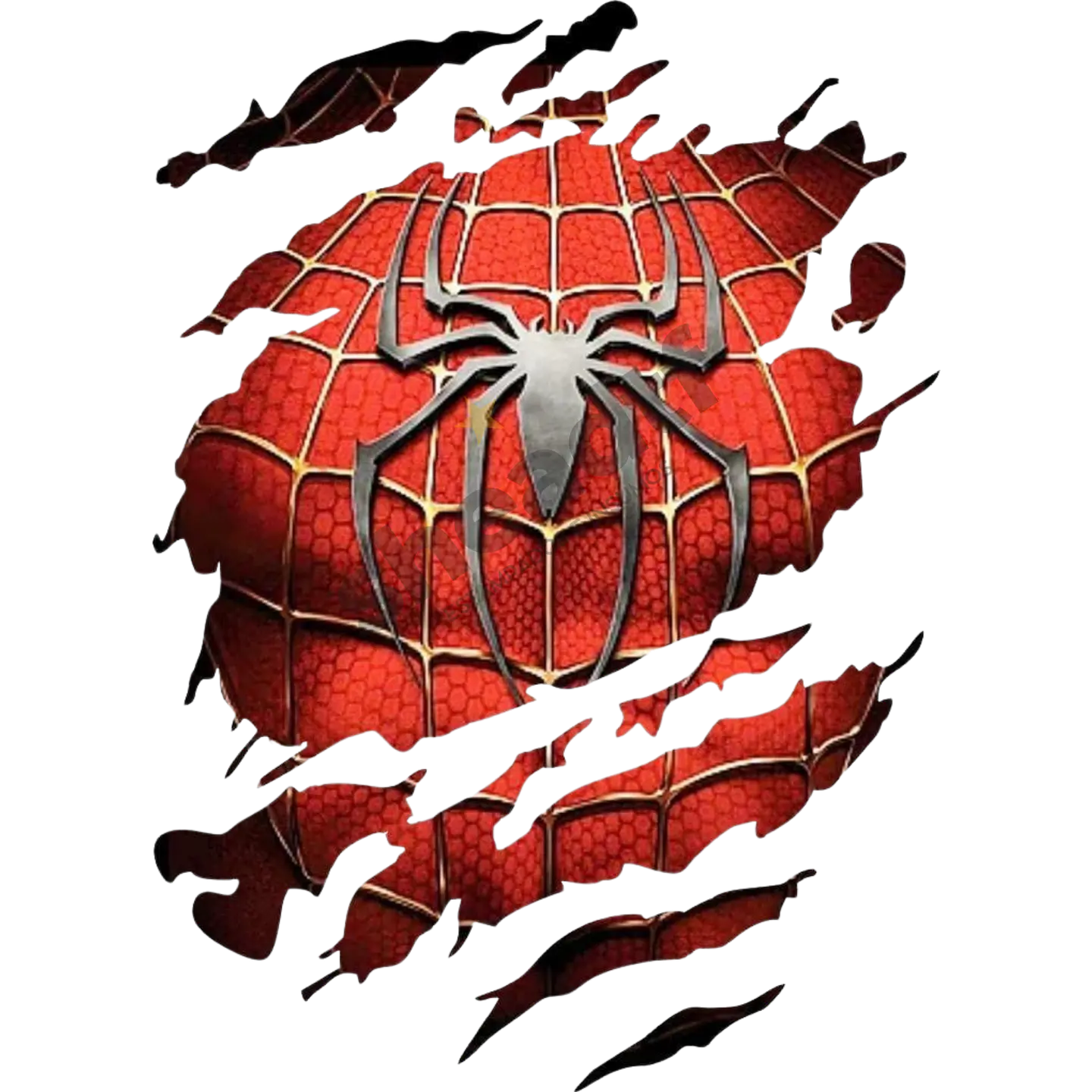 TORSO HOMBRE ARAÑA 1