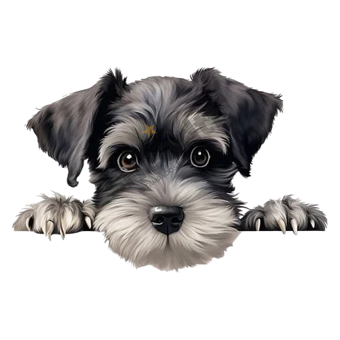 SCHNAUZER