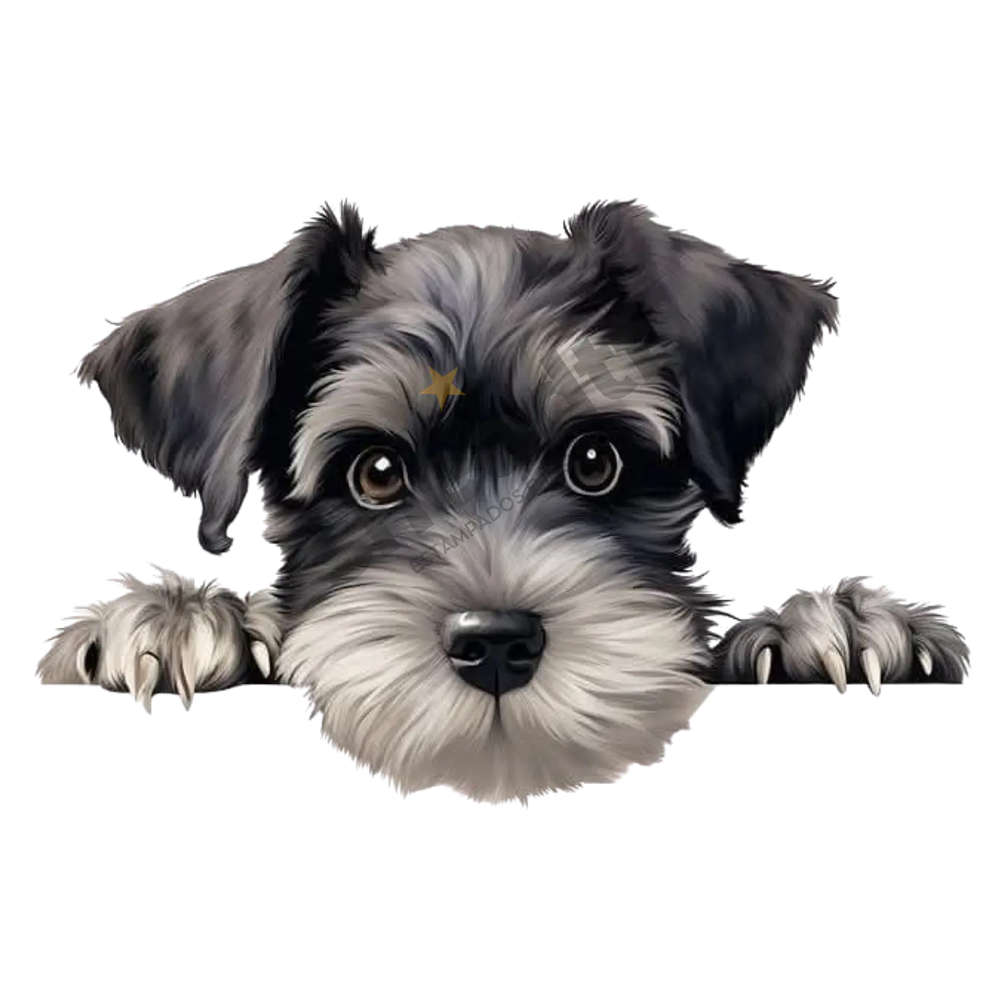 SCHNAUZER 1