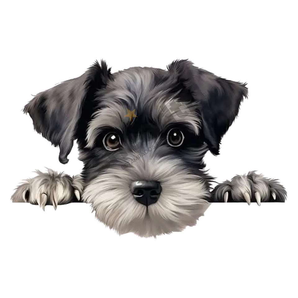 SCHNAUZER 1
